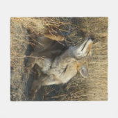 Couverture Polaire R17 Coyote se grattant (Devant (Horizontal))