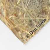 Couverture Polaire R17 Coyote se grattant (Coin)