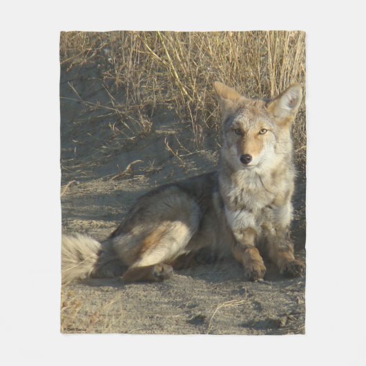 Couverture Polaire R19 Coyote Couché (Devant)