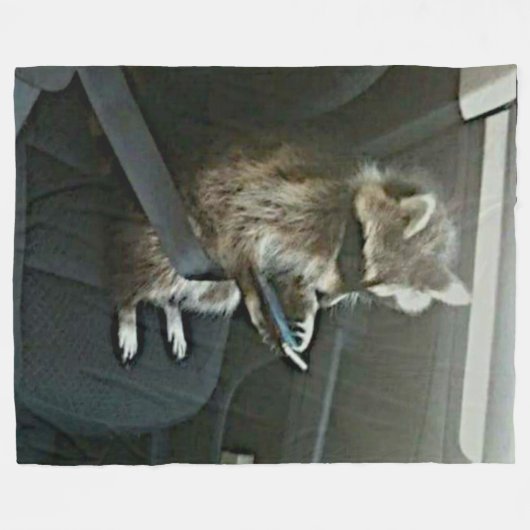 COUVERTURE POLAIRE RACCOON (Devant (Horizontal))