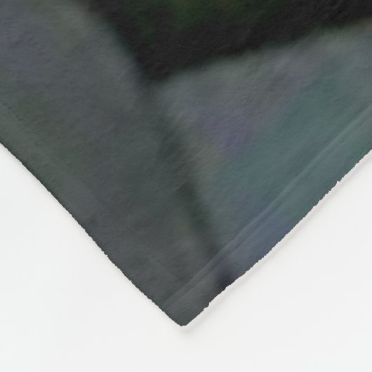 COUVERTURE POLAIRE RACCOON (Coin)