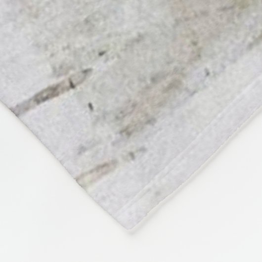 Couverture Polaire Racoons (Coin)