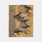 Couverture Polaire Ranch Living at The Ponderosa Ranch (Devant)