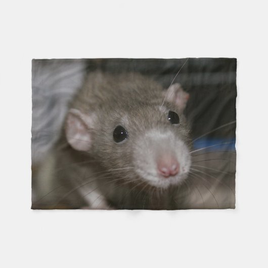 Couverture Polaire Rat curieux (Devant (Horizontal))