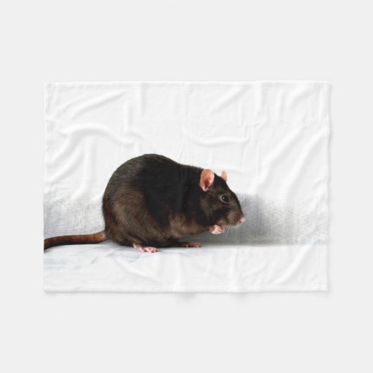 Couverture Polaire Rat fbcna (Devant (Horizontal))