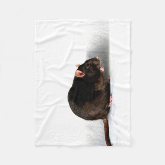Couverture Polaire Rat fbcna (Devant)