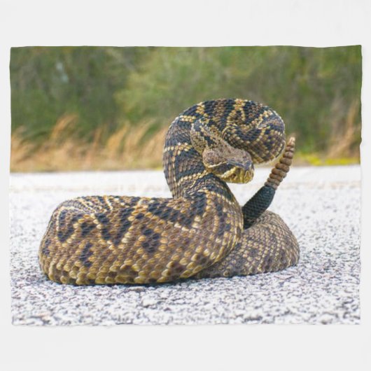 COUVERTURE POLAIRE RATTLE SNAKE (Devant (Horizontal))