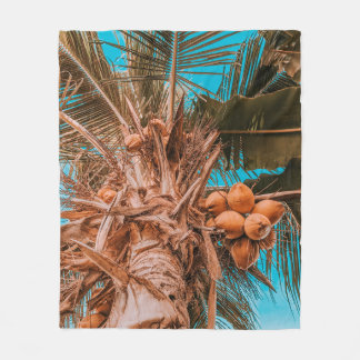 COUVERTURE POLAIRE RECHERCHE DU COCOTIER