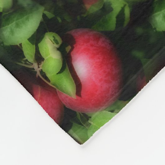 Couverture Polaire Red McIntosh Apples Motif d'art naturel (Coin)