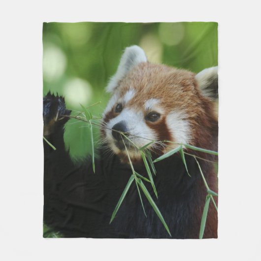 Couverture Polaire RedPanda 002 (Devant)
