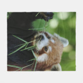 Couverture Polaire RedPanda 002 (Devant (Horizontal))