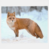 Couverture Polaire Renard roux en hiver (Devant (Horizontal))