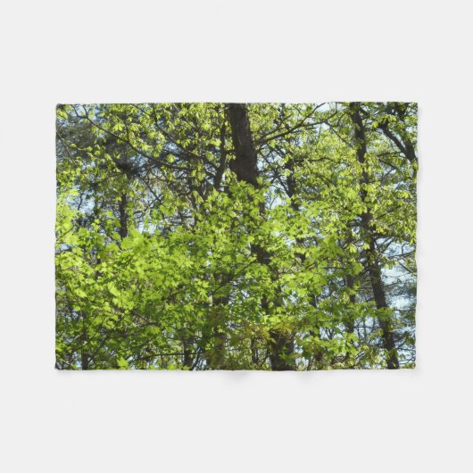 Couverture Polaire Ressource Feuille (Devant (Horizontal))