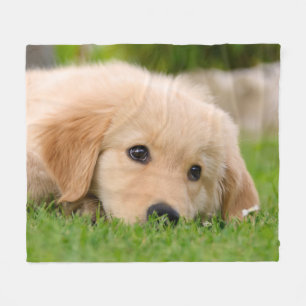 Couverture Polaire Rêver mignon de chiot de golden retriever,