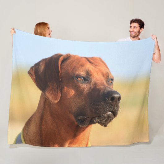 COUVERTURE POLAIRE RHODESIAN RIDGEBACK (En situation)