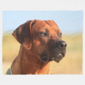 COUVERTURE POLAIRE RHODESIAN RIDGEBACK (Devant (Horizontal))
