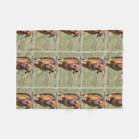 Couverture Polaire Rhodesian Ridgeback caracolant (Devant (Horizontal))