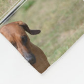 Couverture Polaire Rhodesian Ridgeback caracolant (Coin)