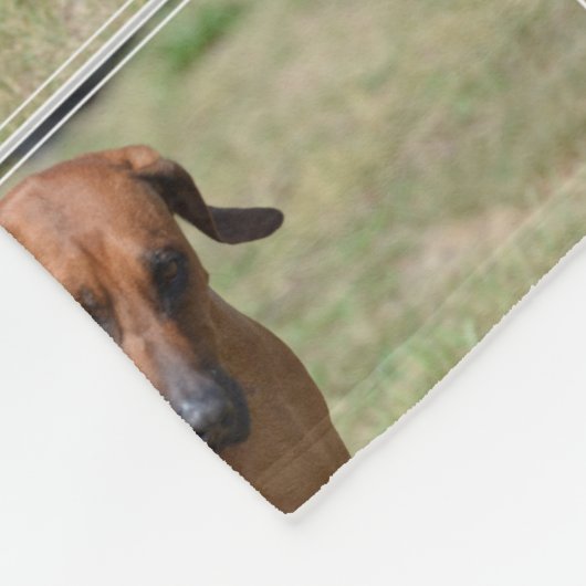 Couverture Polaire Rhodesian Ridgeback caracolant (Coin)