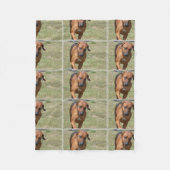 Couverture Polaire Rhodesian Ridgeback caracolant (Devant)