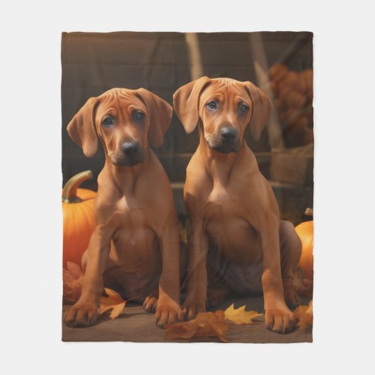 Couverture Polaire Rhodesian Ridgeback Chiot Automne Citrouille délic (Devant)