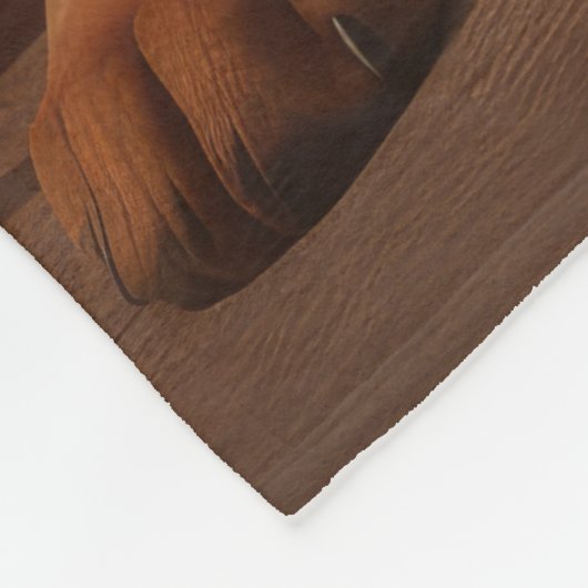 Couverture Polaire Rhodesian Ridgeback Chiot Automne Citrouille délic (Coin)