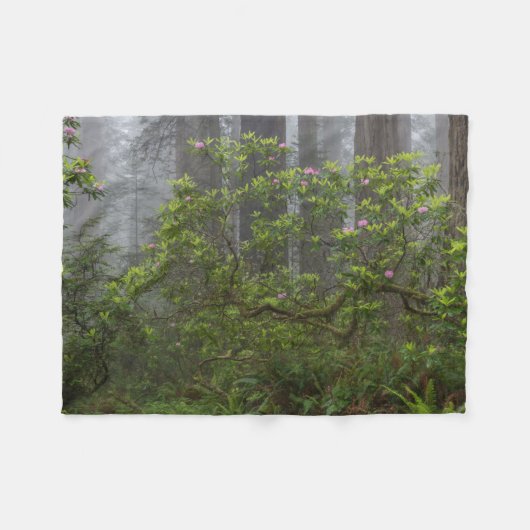 Couverture Polaire Rhododendron dans le parc national Redwood en Cali (Devant (Horizontal))