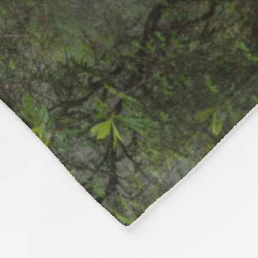 Couverture Polaire Rhododendron dans le parc national Redwood en Cali (Coin)