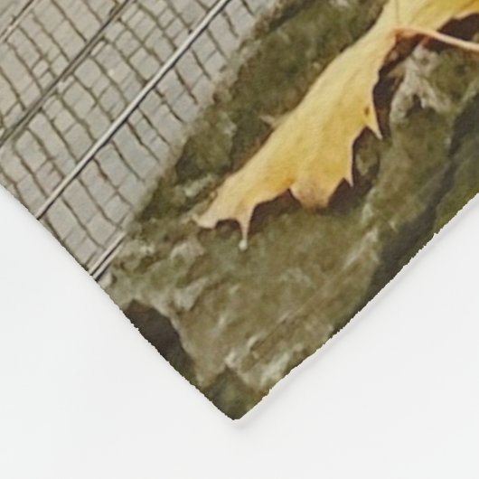 Couverture Polaire Riga en automne (Coin)