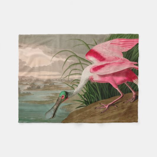 Couverture Polaire Rose Spoonbill Birds of America Audubon Print (Devant (Horizontal))