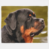 COUVERTURE POLAIRE ROTWEILLER (Devant (Horizontal))