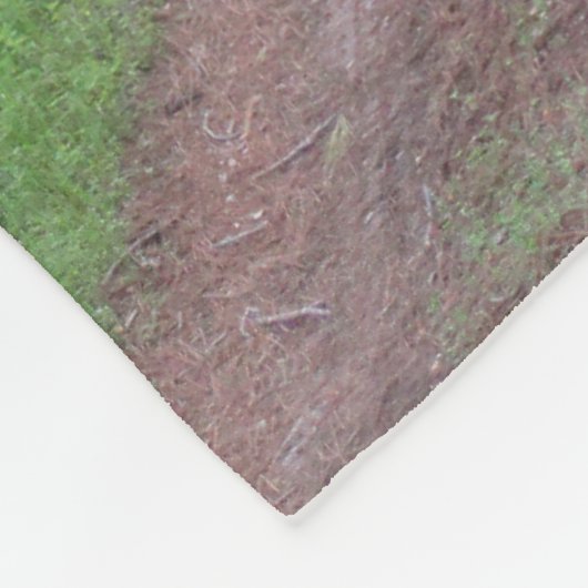 Couverture Polaire Route de la Pine Forest (Coin)