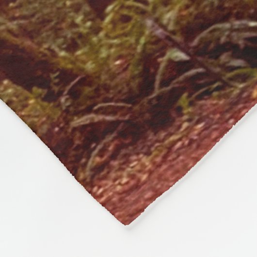 Couverture Polaire Route humide à travers les arbres verts à Humboldt (Coin)