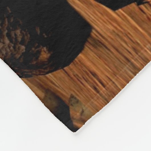 COUVERTURE POLAIRE ROUTE MARS (Coin)