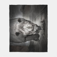 Running Rhinoceros : Wild Animal Portrait.