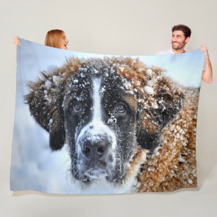 Couverture Polaire SAINT BERNARD dans la NEIGE