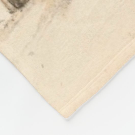 Couverture Polaire Saison d'hiver de Beatrix Potter (Coin)