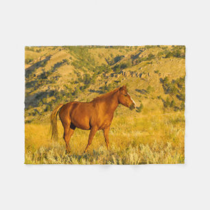 Couverture Polaire Sanctuaire de chevaux sauvages.
