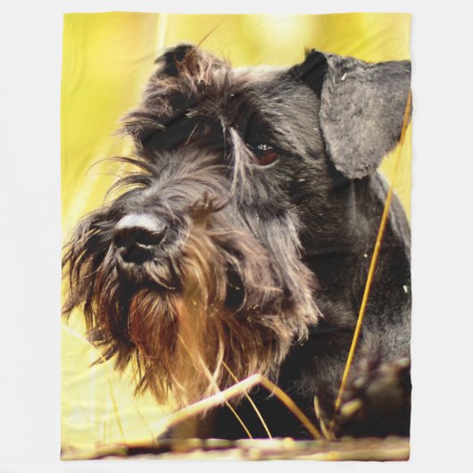 Couverture Polaire Schnauzer minier (Devant)