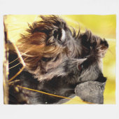 Couverture Polaire Schnauzer minier (Devant (Horizontal))