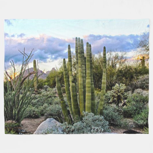 Couverture Polaire Scottsdale Succulent Sunset (Devant (Horizontal))