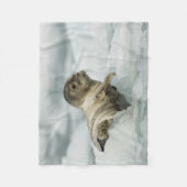 Couverture Polaire Seal bébé doux (Devant)