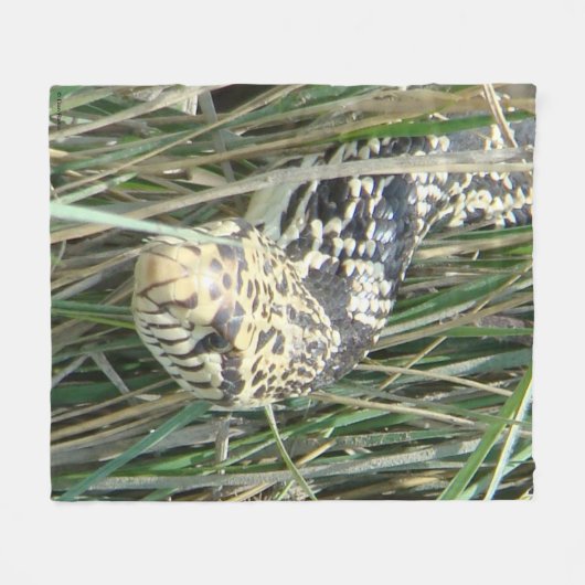 Couverture Polaire Serpent à taureau R4 dans l'herbe (Devant (Horizontal))