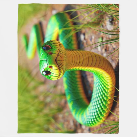 Couverture Polaire Serpent vert (Devant)