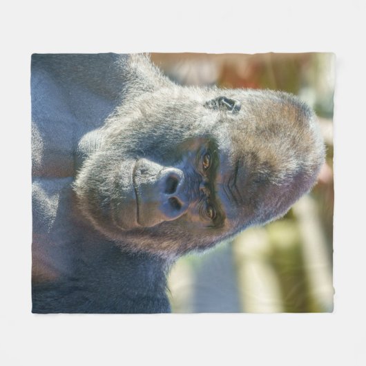 Couverture Polaire Silverback frappant (Devant (Horizontal))