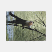 Couverture Polaire Singe capucin (Devant (Horizontal))