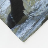 Couverture Polaire Singe capucin (Coin)