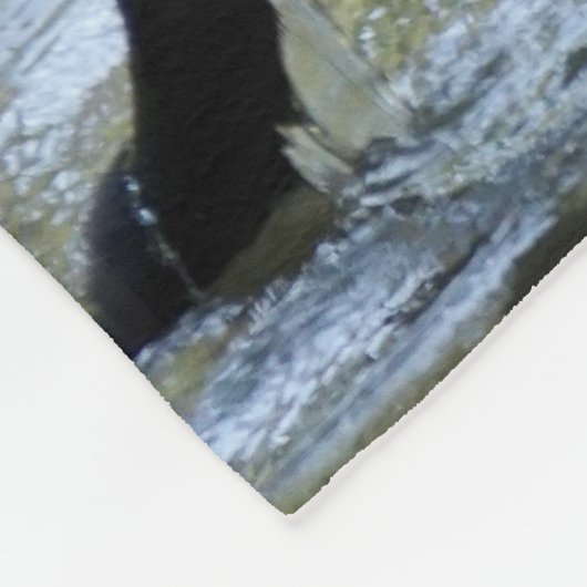 Couverture Polaire Singe capucin (Coin)