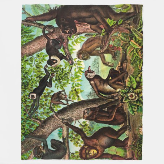 Couverture Polaire Singes (Devant)