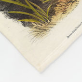 Couverture Polaire Skunk américaine commune ou Striped Skunk, par Aud (Coin)